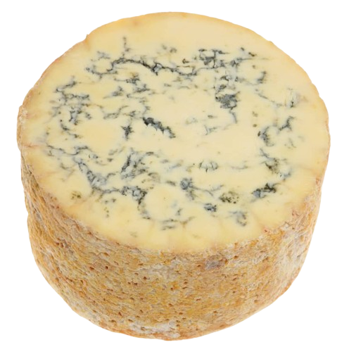Pilnpiena zilais cietais siers BLUE Stilton  DOP